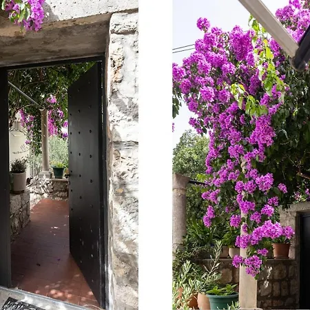 Апартаменты San Giorgio Дубровник