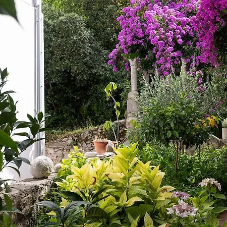 San Giorgio Dubrovnik