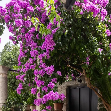 San Giorgio Apartman Dubrovnik