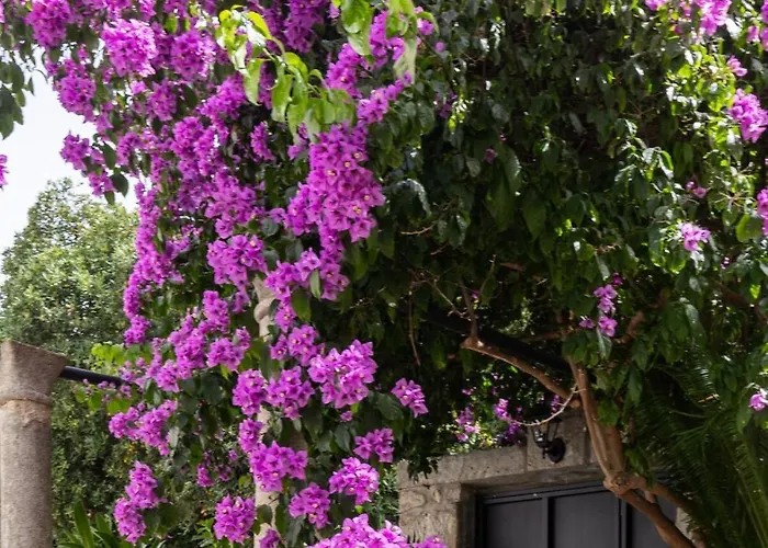 San Giorgio Appartement Dubrovnik